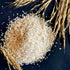 Hetha Basmati Paddy